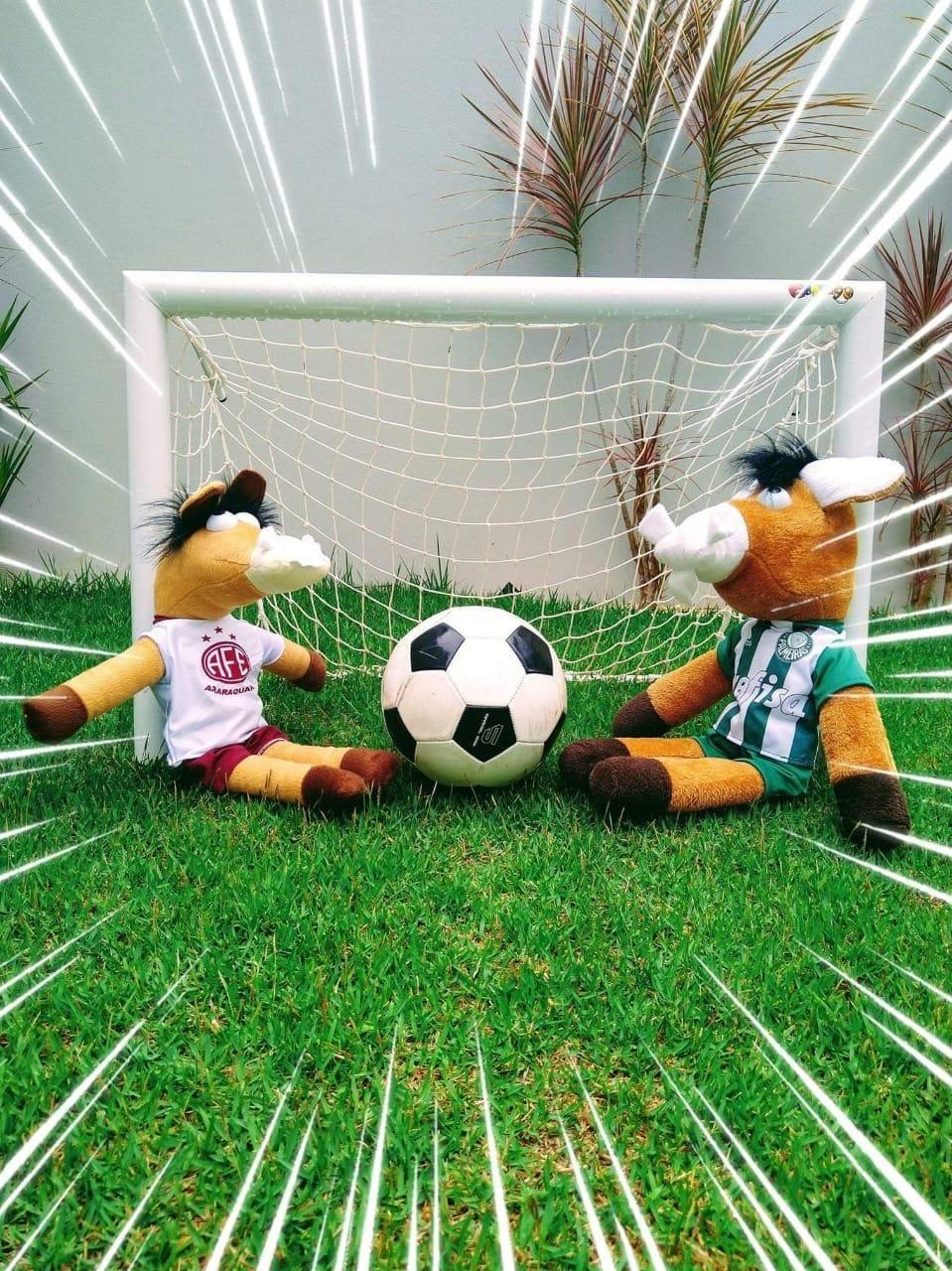 Ferroviária pronta para enfrentar o Palmeiras pelo Paulistão!