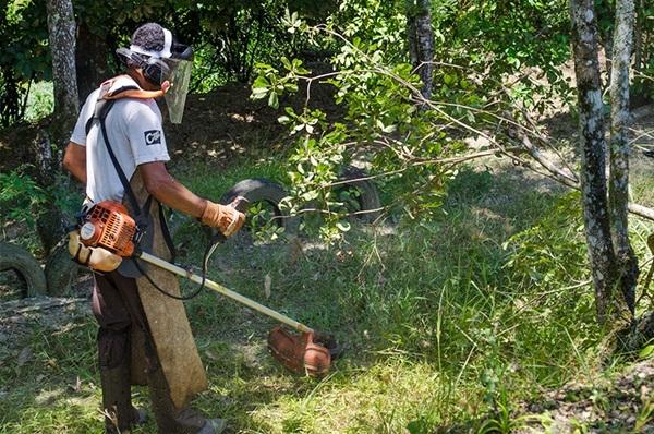 À procura de emprego?