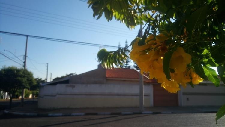 Araraquara terá sol com algumas nuvens.