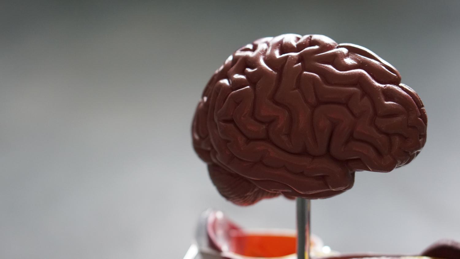 Saiba como a programação neurolinguística pode trazer resultados positivos para seu desenvolvimento