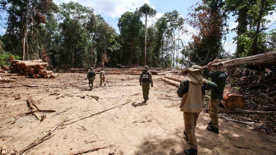 Devastação cresceu 43% em relação ao mesmo mês de 2020.