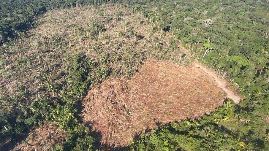 Amazônia tem pior índice de desmatamento no mês de maio dos últimos cinco anos