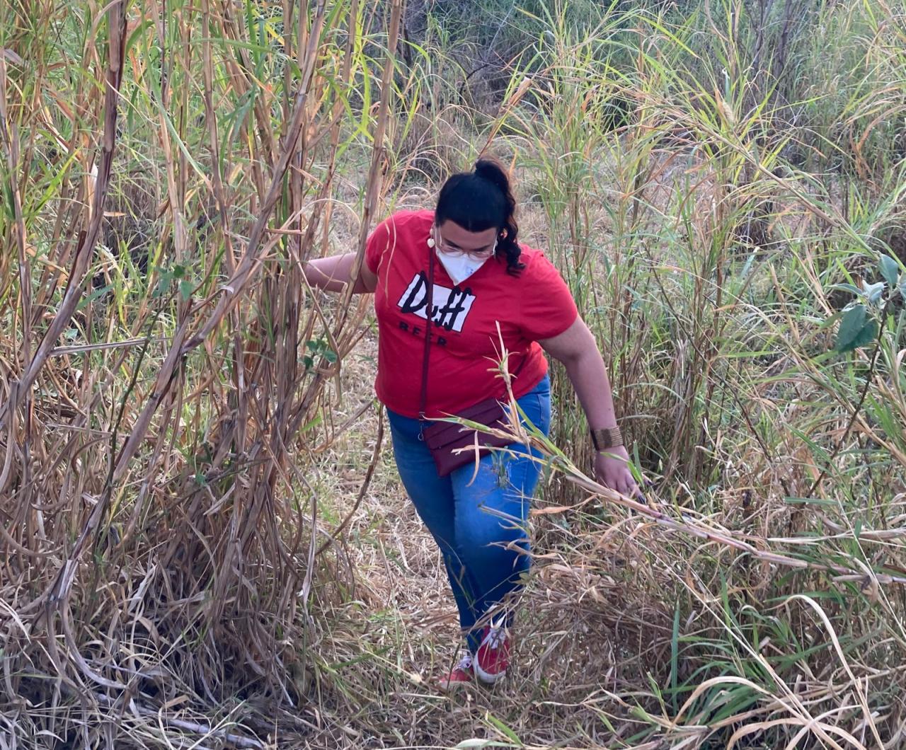 Área de Preservação Permanente do Vale Verde precisa de rearborização urgente 