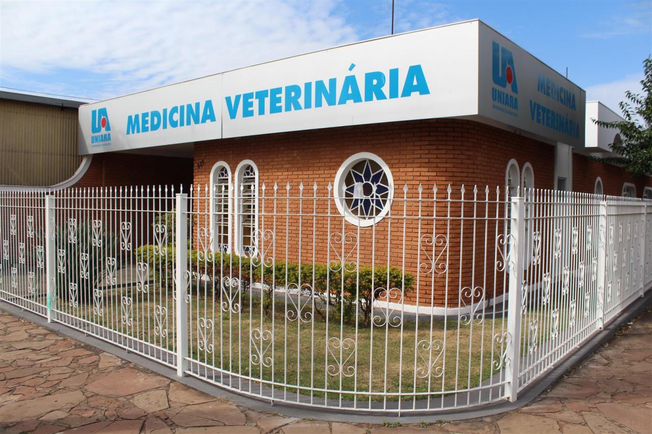 Clínica-escola de Medicina Veterinária está com atendimentos abertos para cães e gatos