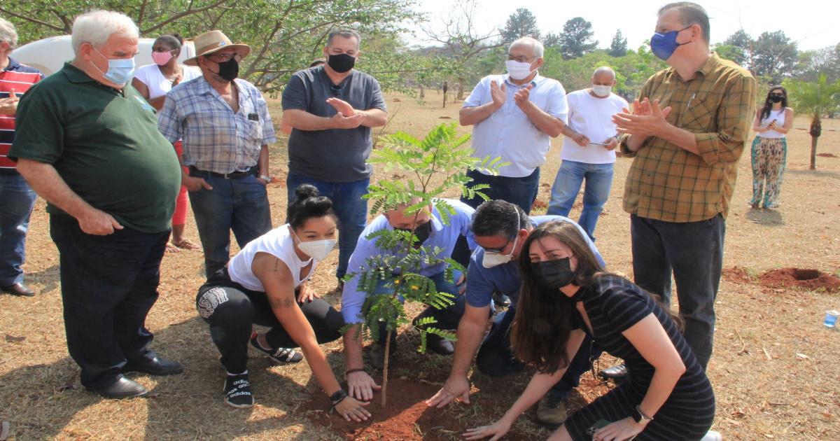 Com plantio de 100 mudas, Dia da Árvore é celebrado em Araraquara     
