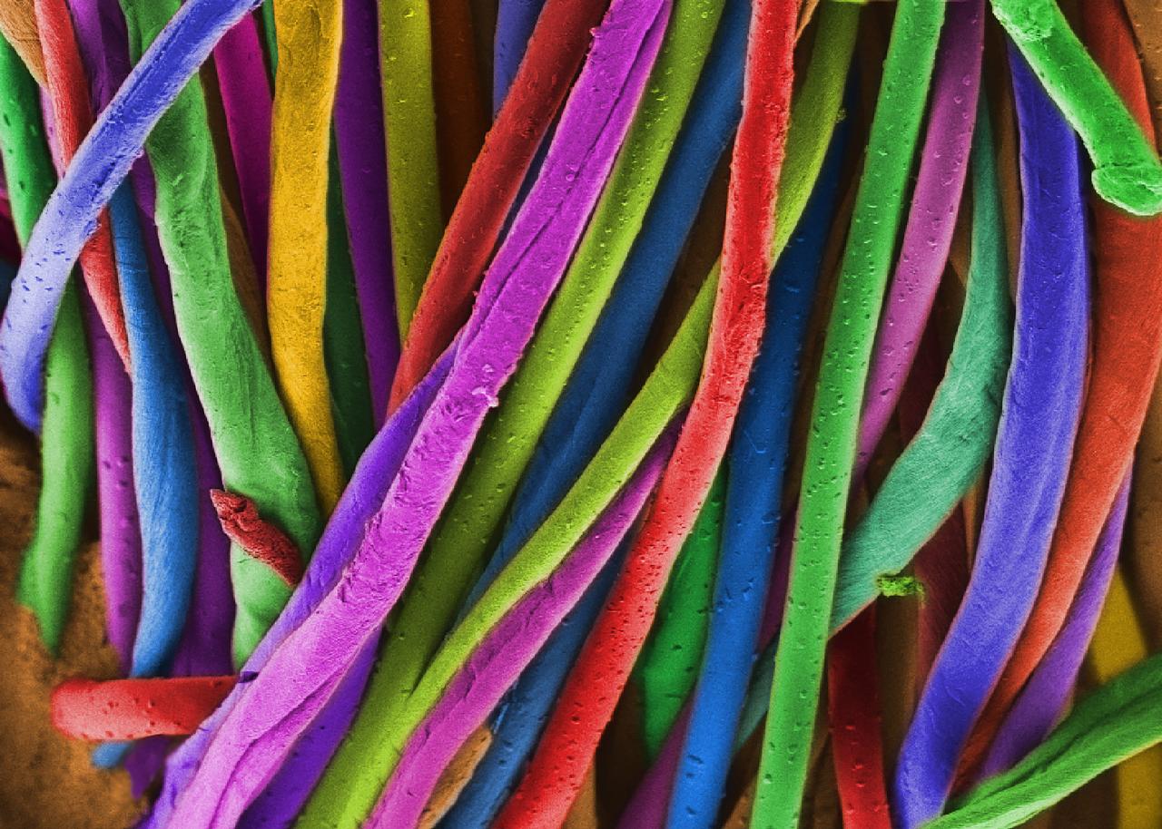 Enio Longo expõe nanonarte brasileira em mostra internacional 3D nos Estados Unidos