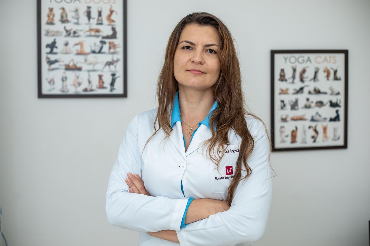 Obesidade animal não é brincadeira