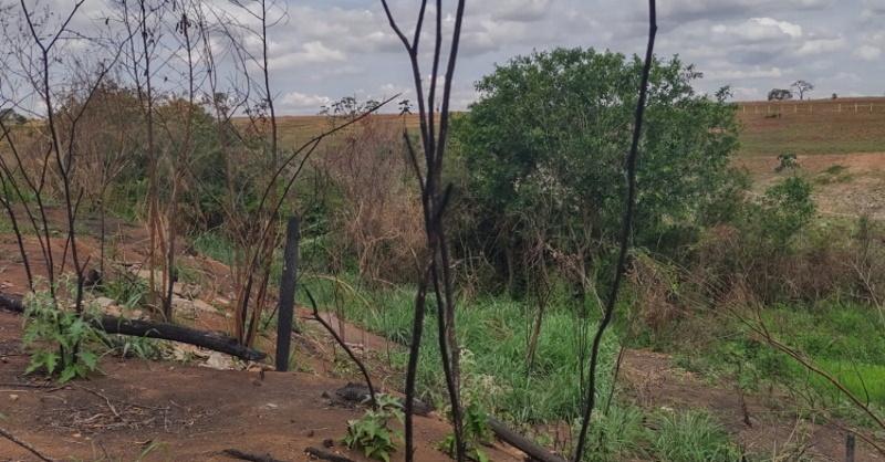 Região do Córrego do Tanquinho passa por desflorestamento 