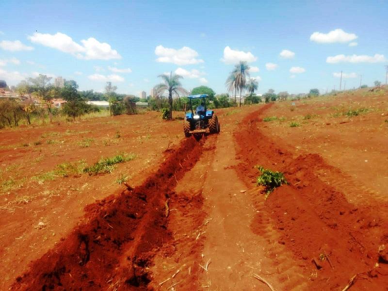 Lançado o projeto “Nasce uma criança, planta-se uma árvore”