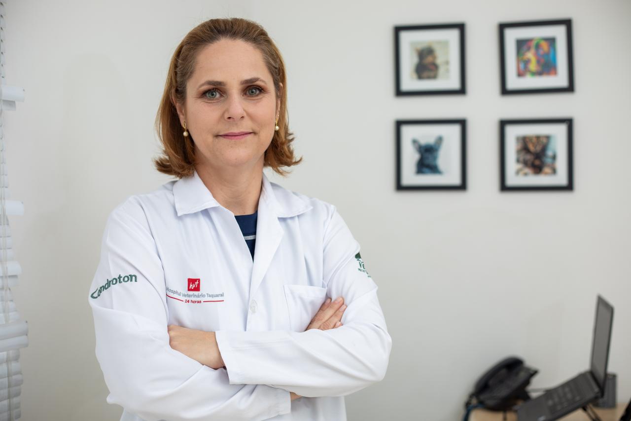 Pets com Síndrome Braquicefálica devem receber cuidados especiais