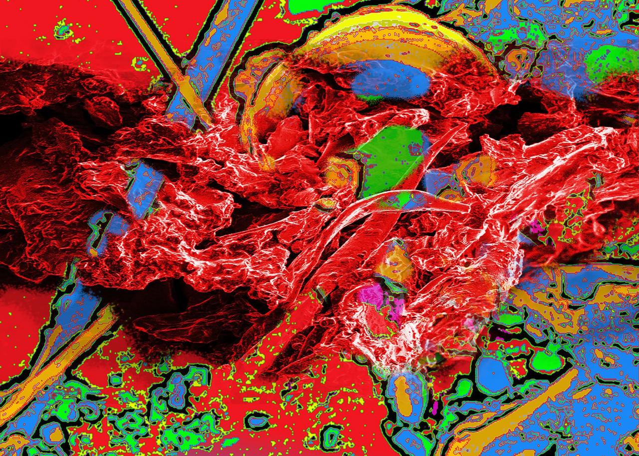 Seis obras de Nanoarte do CDMF são finalistas no “NanoArtography 2021”