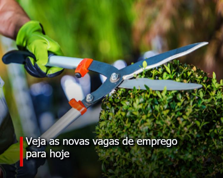 À procura de emprego?