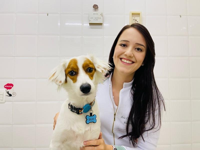 Santos, novidade certa para quem quer passear e brincar com o cão na areia e no mar 