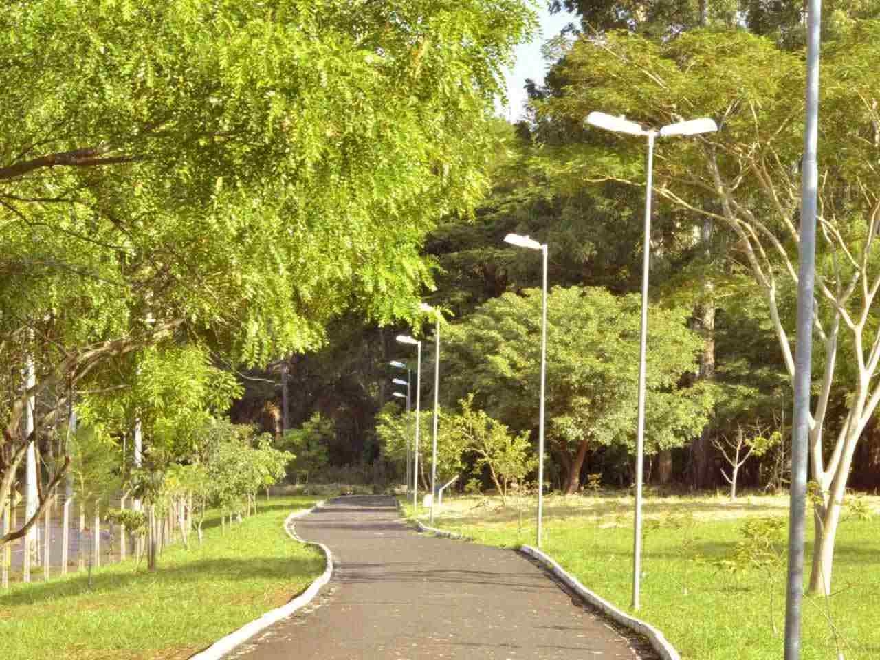 Educação Física da UNIP Araraquara inicia Programa “Parque em Movimento” no Jardim Botânico