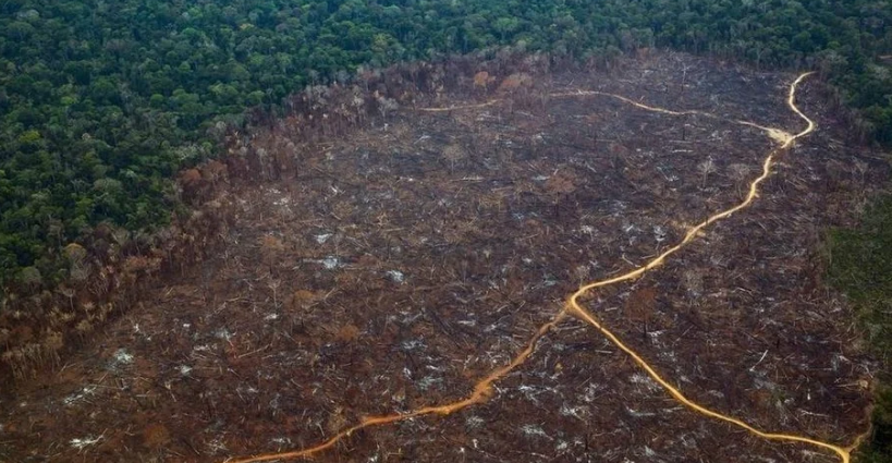 Amazônia: desmatamento cresceu 74,6% em relação a 2021
