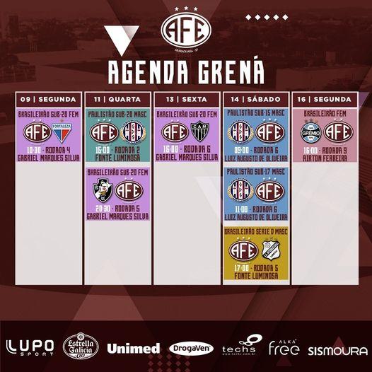 Confira os próximos compromissos da Ferroviária!