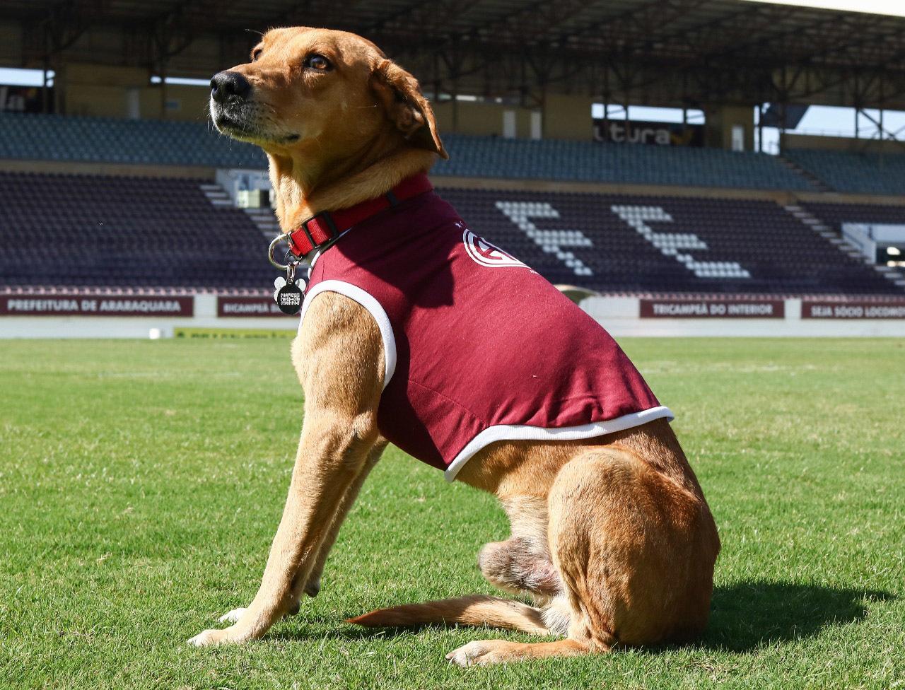 20 de julho - Dia do amigo!