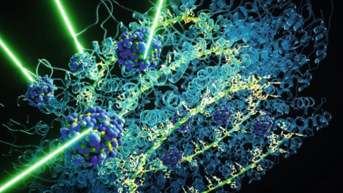 Artigo de pesquisador do CDMF é capa do periódico Nature Catalysis