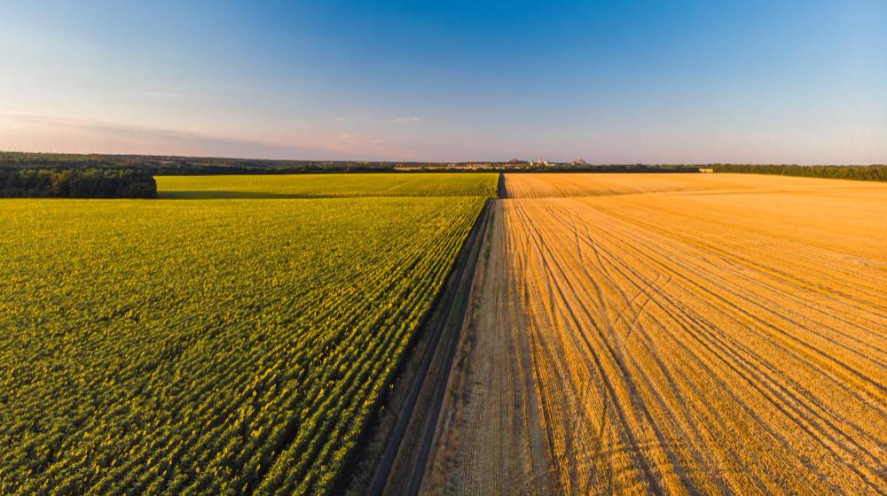 Qual é a capacidade de um silo agrícola?