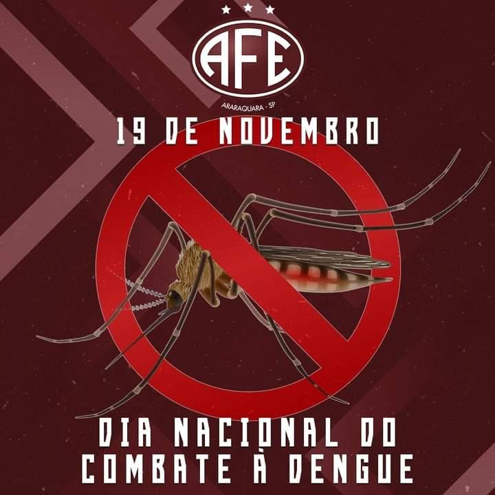 19 de Novembro: Dia Nacional de Combate a Dengue!