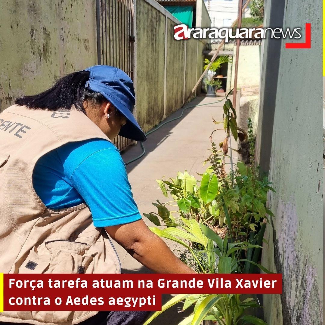 Força tarefa atuam na Grande Vila Xavier contra o Aedes aegypti