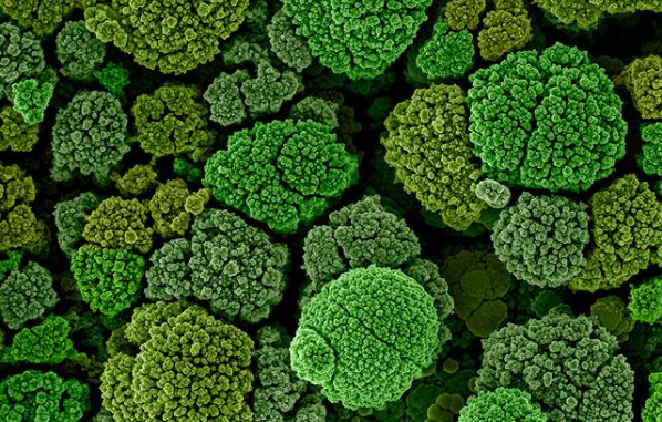 Nanoarte: imagens de pesquisador do CDMF participam de competição