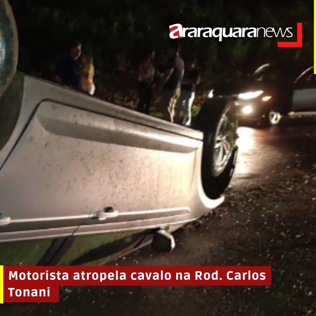 Motorista atropela cavalo na Rod. Carlos Tonani