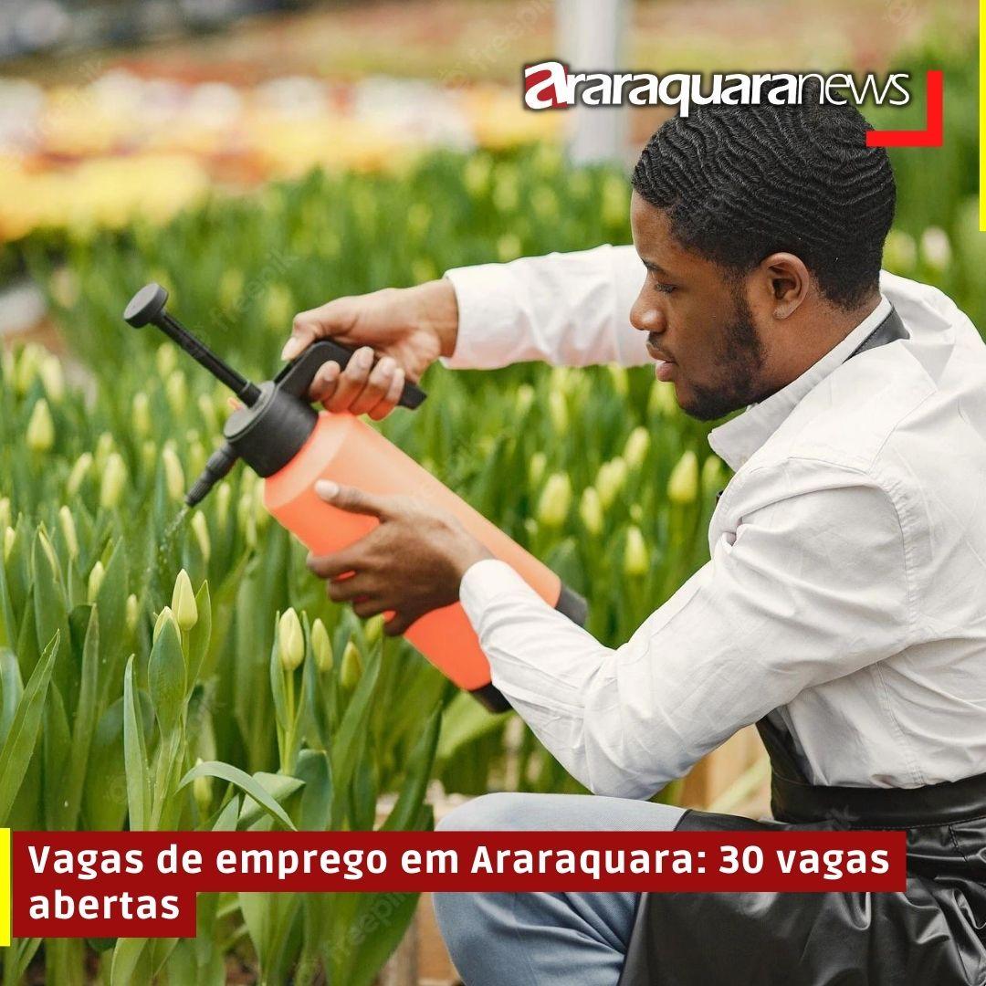 Vagas de emprego em Araraquara: 30 vagas abertas