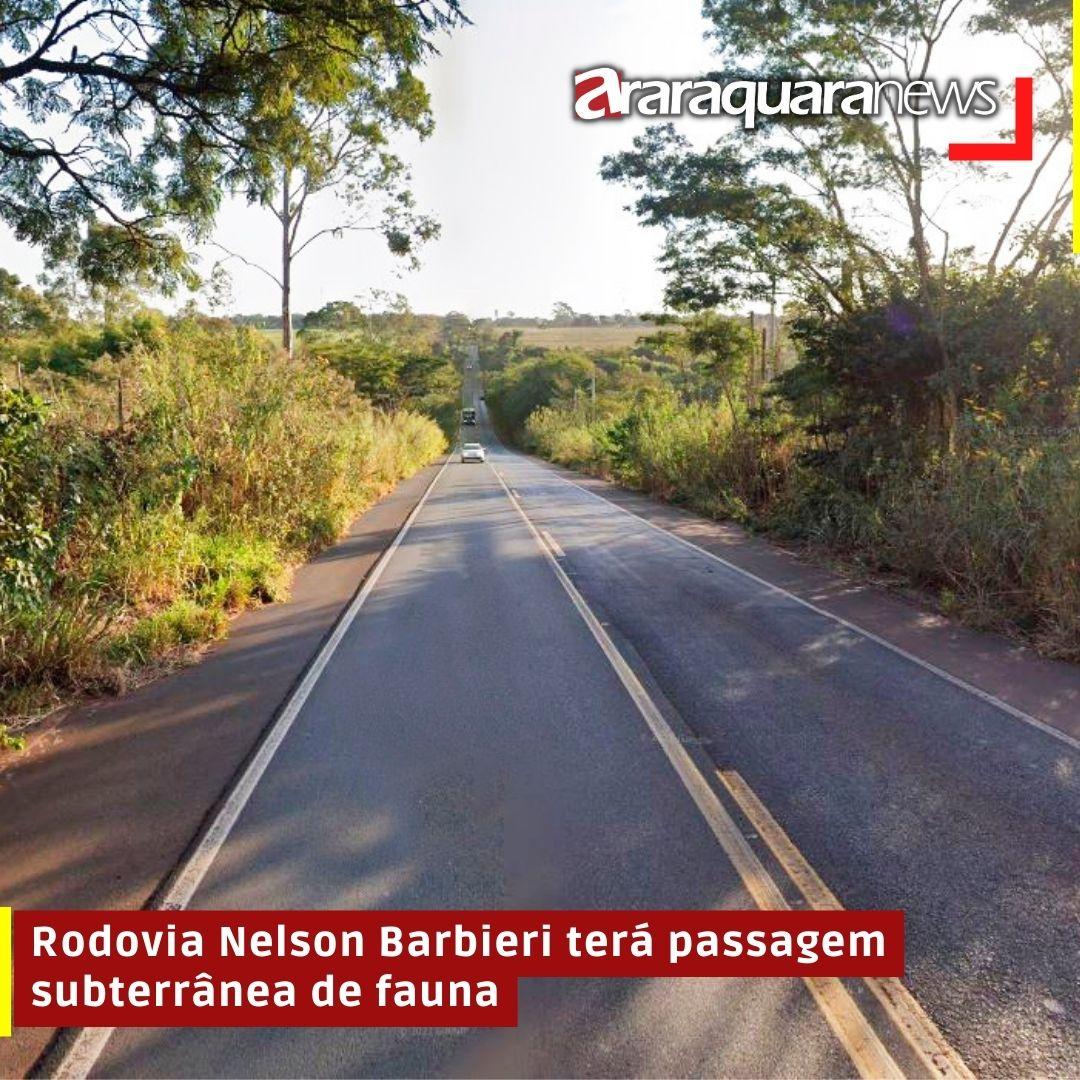 Rodovia Nelson Barbieri terá passagem subterrânea de fauna