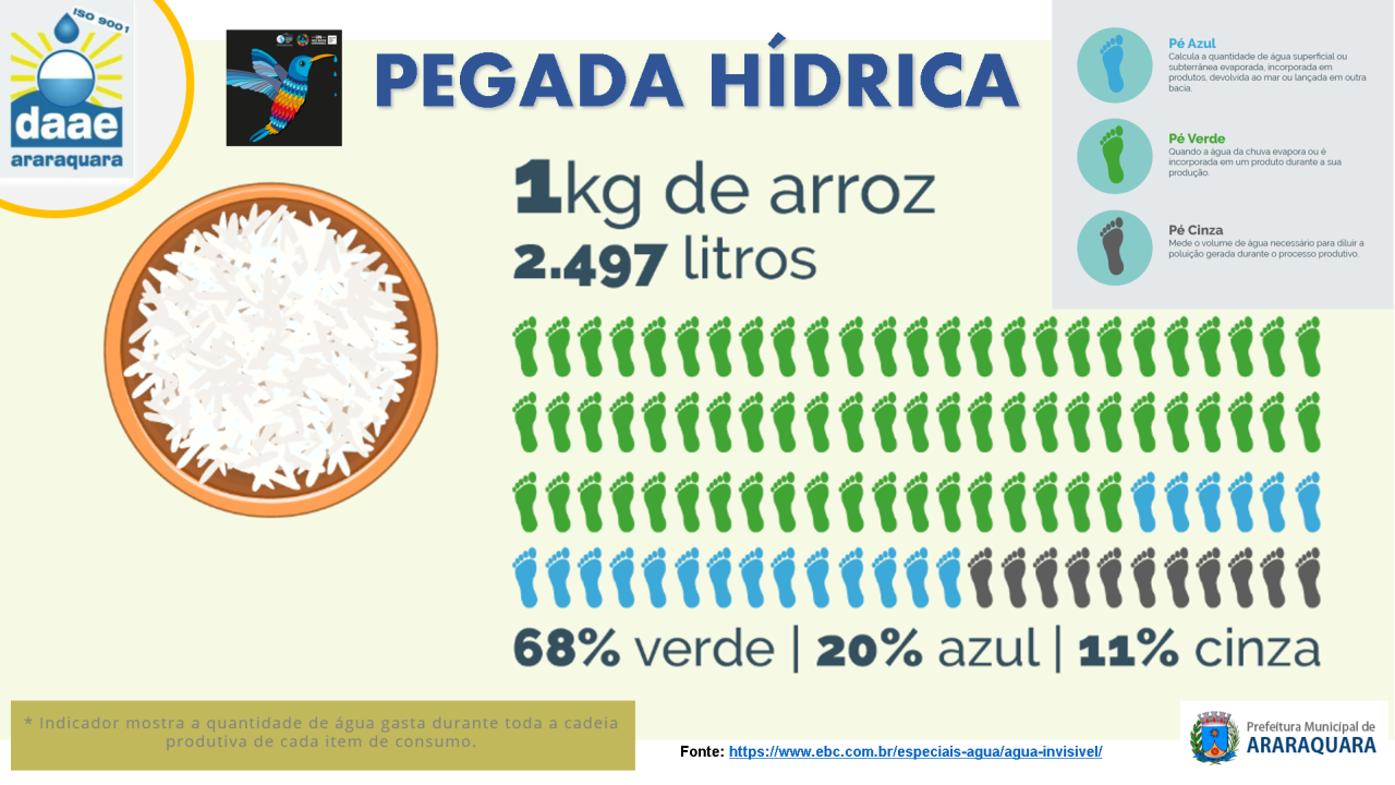 22 DE MARÇO – DIA MUNDIAL DA ÁGUA