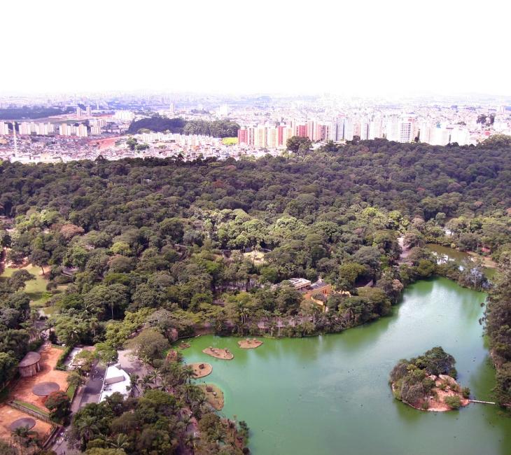 Criação de Reserva Natural (Bosque) no Selmi Dei e Adalberto Roxo é proposta ao Executivo