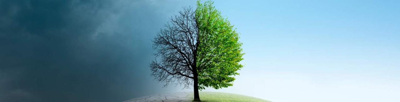 Dia Nacional da Conscientização sobre as Mudanças Climáticas