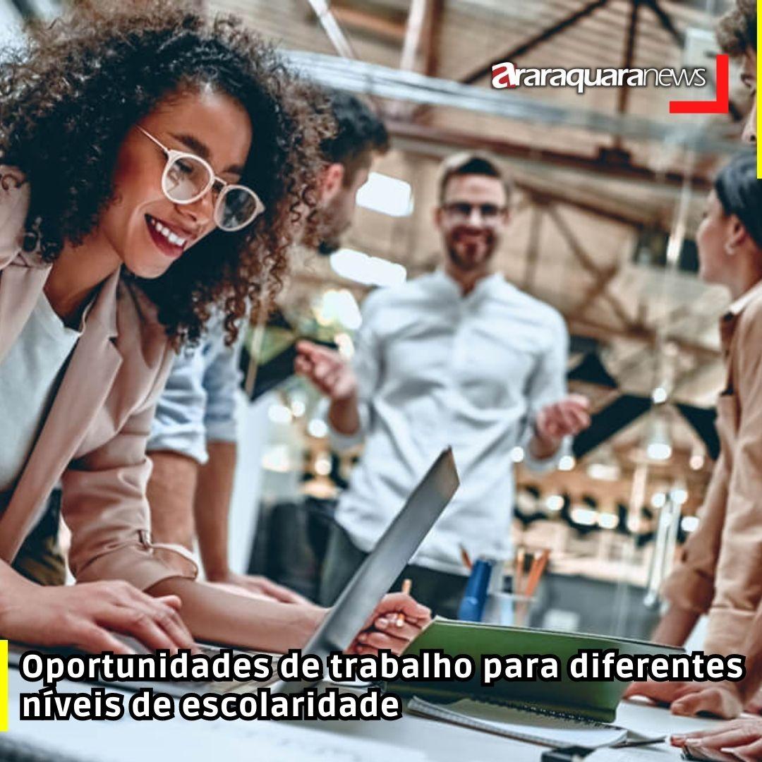 Oportunidades de trabalho para diferentes níveis de escolaridade