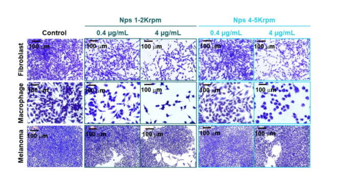 Pesquisadores do CDMF publicam artigo sobre nanopartículas de liga metálica para aplicações biomédicas