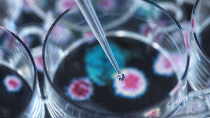 Projeto de compósitos poliméricos com atividade biocida tem pedido de patente registrado