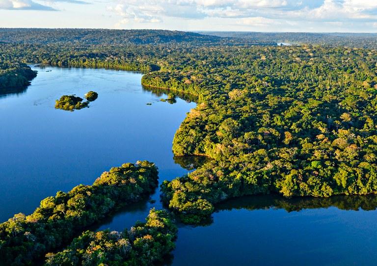 No mês em que se comemora o Dia Mundial do Meio Ambiente, será que temos o que comemorar?