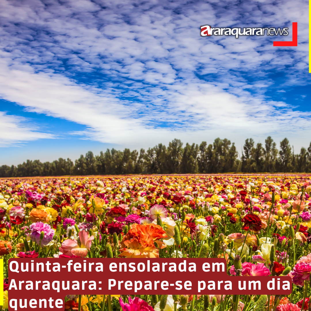 Quinta-feira ensolarada em Araraquara: Prepare-se para um dia quente