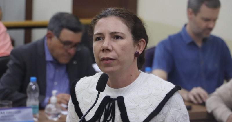 Serviço de recapeamento e drenagem é solicitado na Vila Gaspar