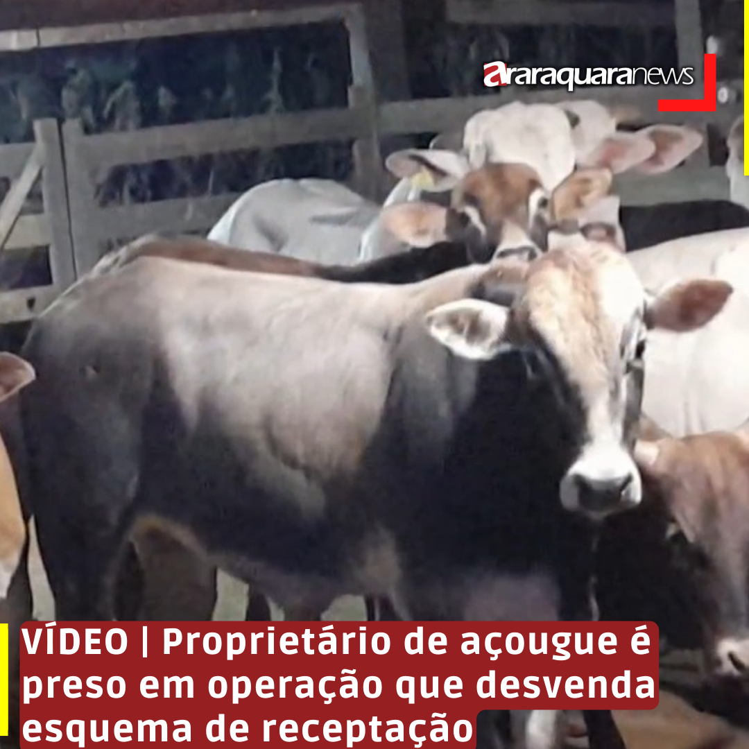 VÍDEO | Proprietário de açougue é preso em operação que desvenda esquema de receptação