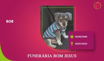 A Funerária Bom Jesus comunica o falecimento do amiguinho BOB
