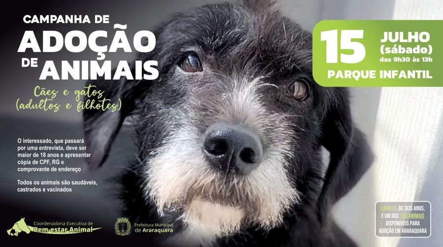 Campanha de Adoção de Animais no Parque Infantil: Sábado é dia de encontrar seu novo companheiro!