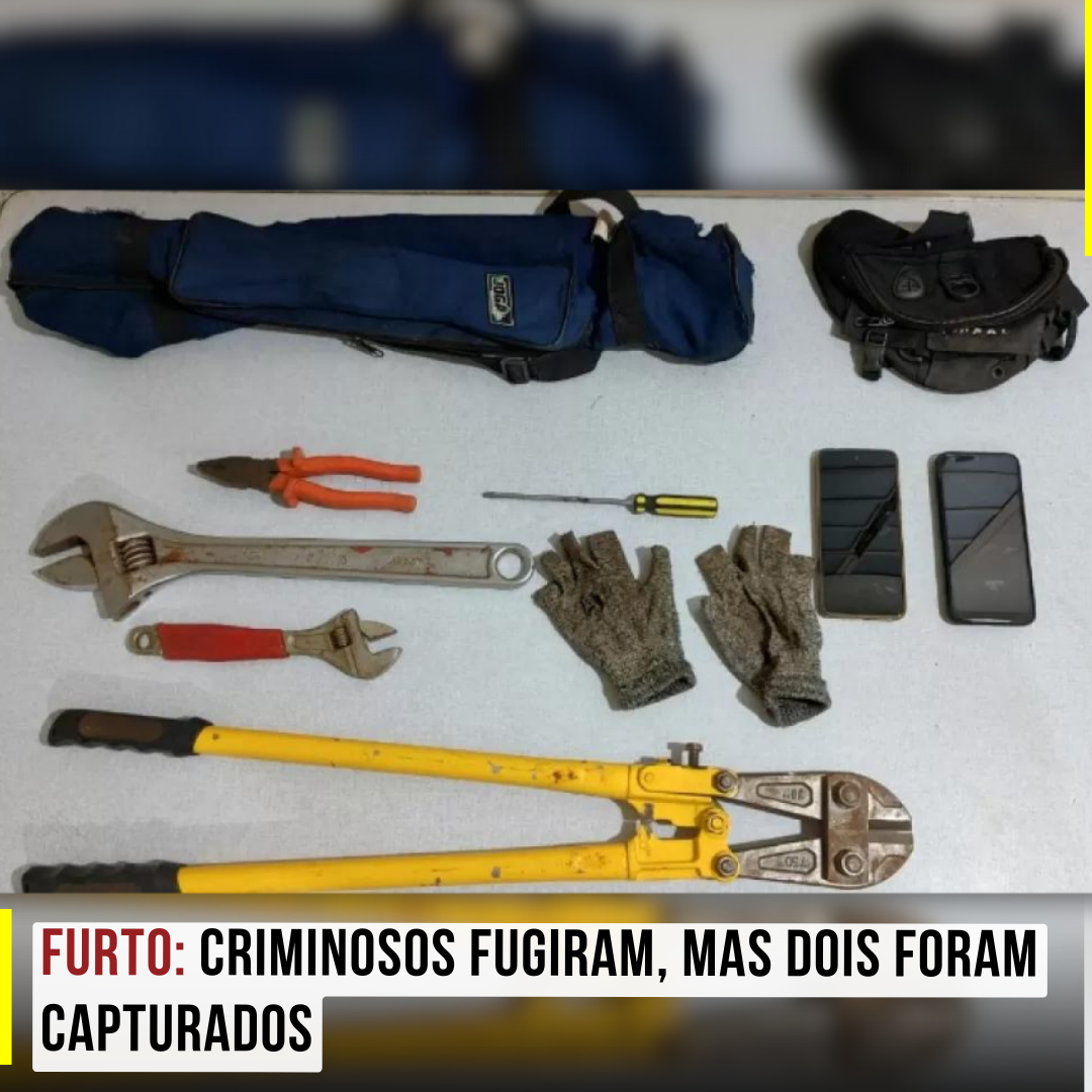 Furto em Araraquara: Criminosos fugiram, mas dois foram capturados