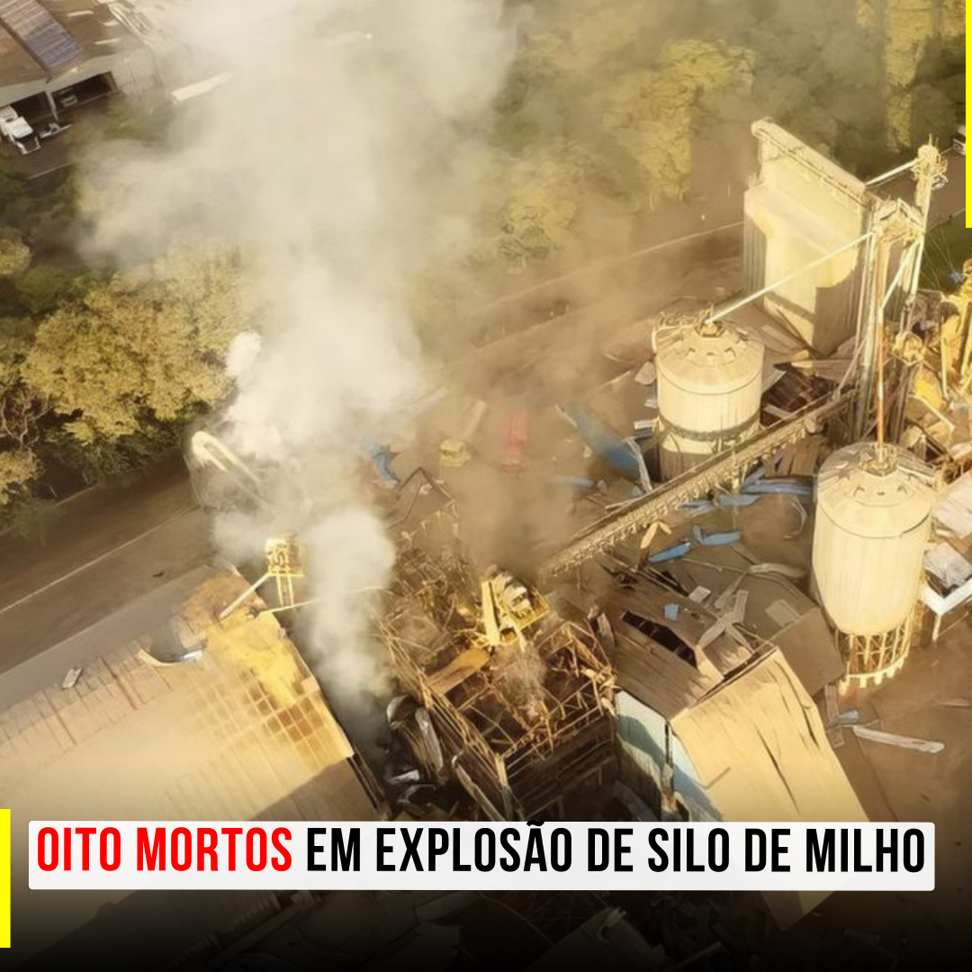 Oito mortos em explosão de silo de milho