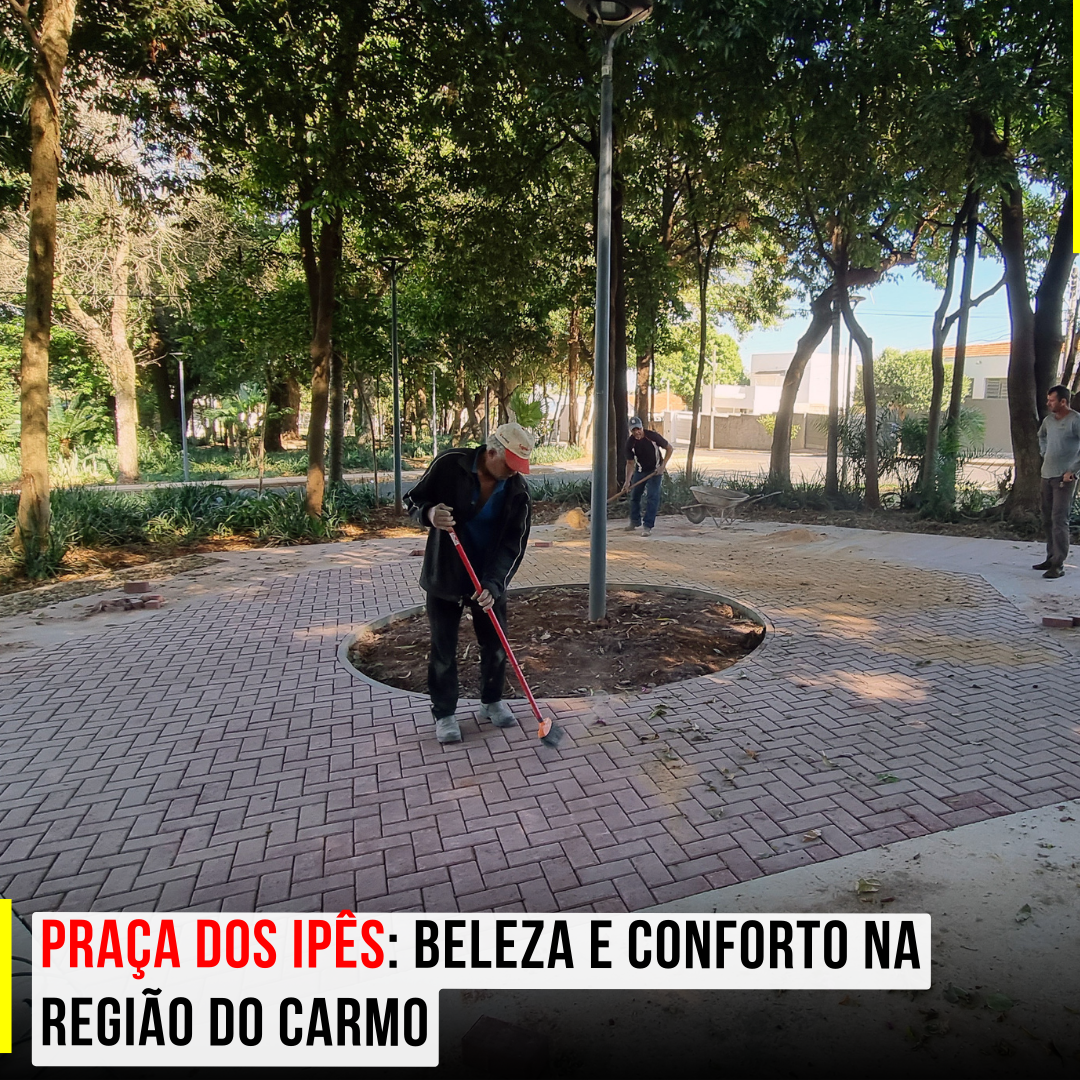 Praça dos Ipês: Beleza e conforto na região do Carmo