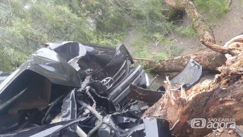 Acidente Matinal: Carro Desgovernado Derruba &Aacute;rvore no Cidade Arac