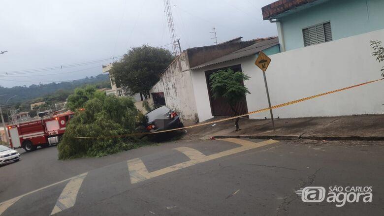 &Aacute;rvore Derrubada por Carro Desgovernado: Incidente no Cidade Aracy