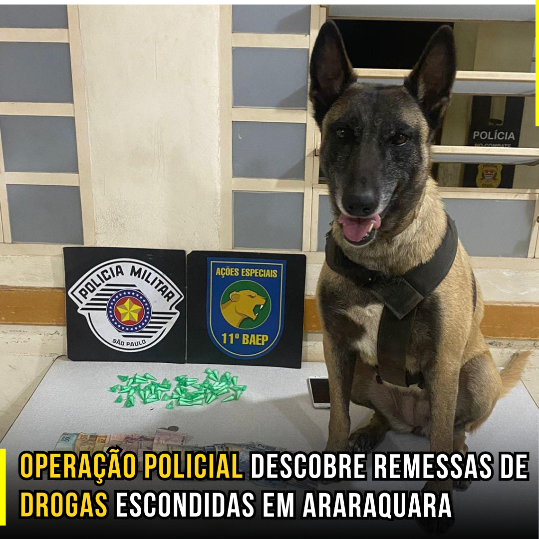Operação Policial descobre remessas de drogas escondidas em Avenida de Araraquara