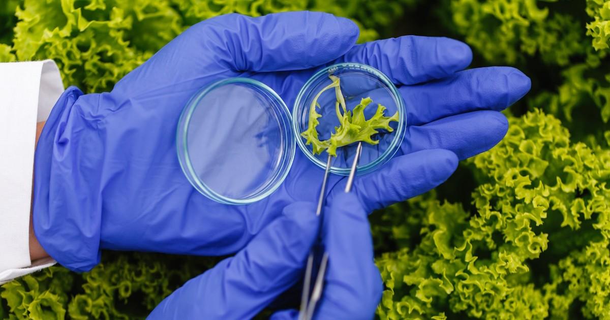 Plataforma deve desenvolver agricultura e biotecnologia em Araraquara