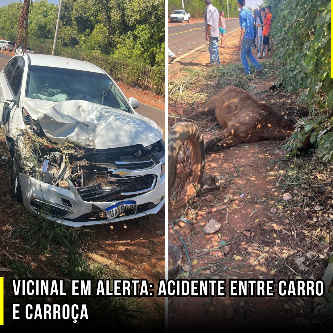 Vicinal em alerta: Acidente entre carro e carroça