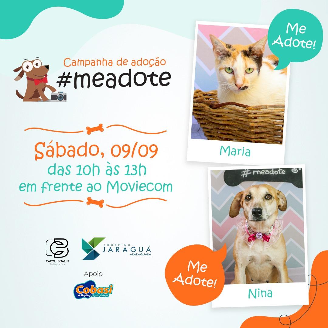 No Shopping Jaraguá, campanha de adoção apresenta gatos em busca de um lar definitivo